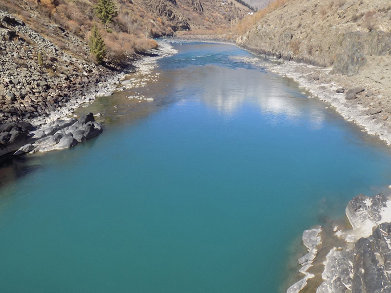 Chinali image 1