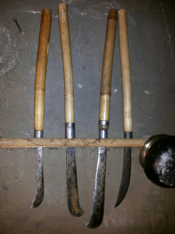 Chiru image 6
