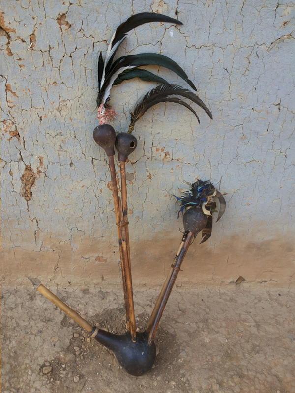 Chiru image 9