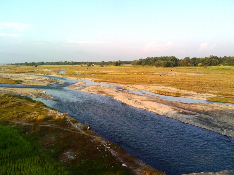 Dhimal image 2