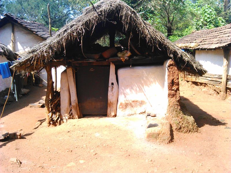 Gutob-Gadaba image 3
