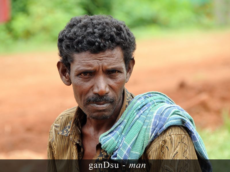 Jenukuruba image 6