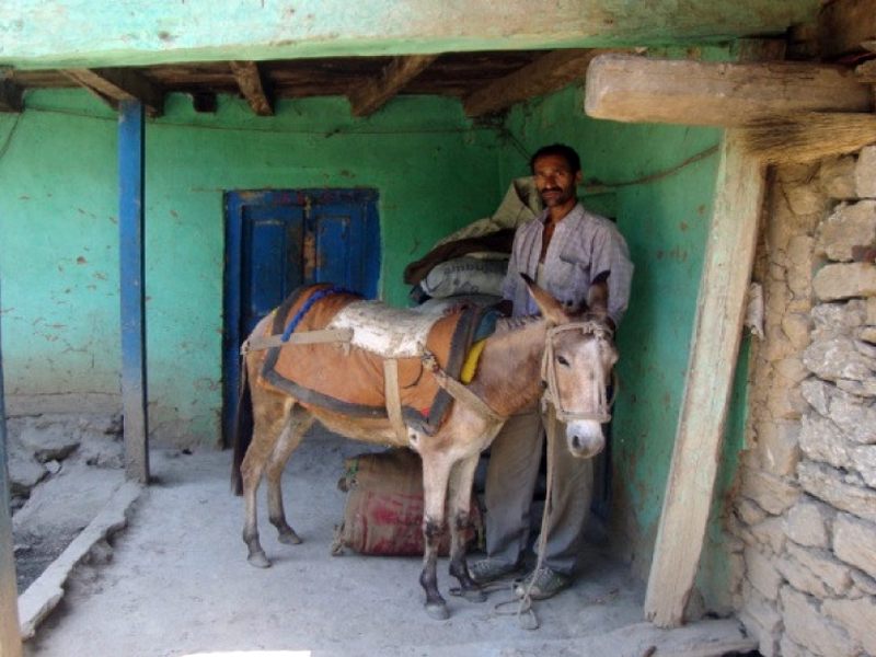 Khash image 5