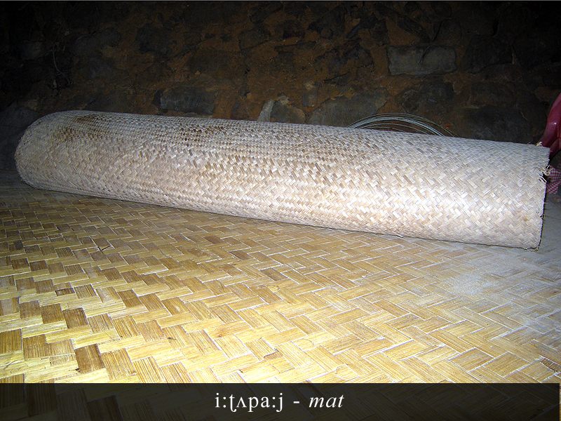 Malayan image 7