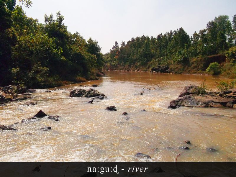 Manda image 9