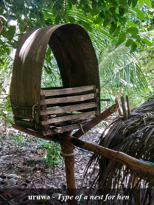 Sanenyo image 3
