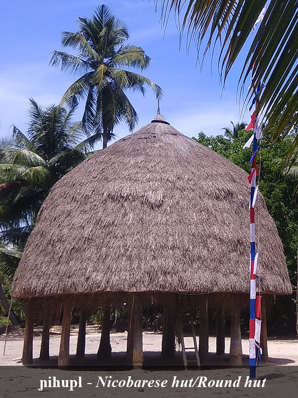 Sanenyo image 9