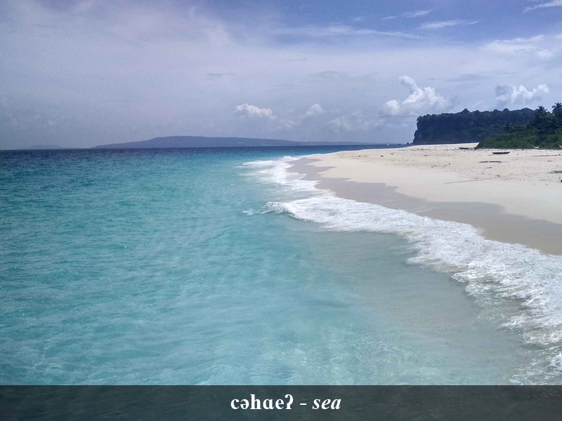 Sanenyo image 10