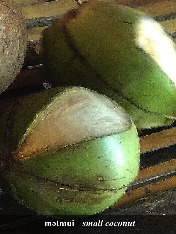 Sanenyo image 13