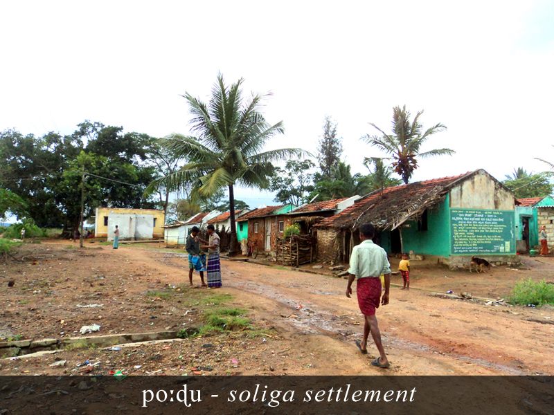 Soliga image 4