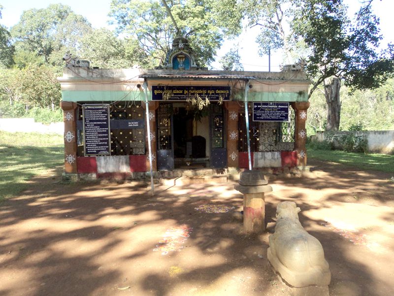 Soliga image 8