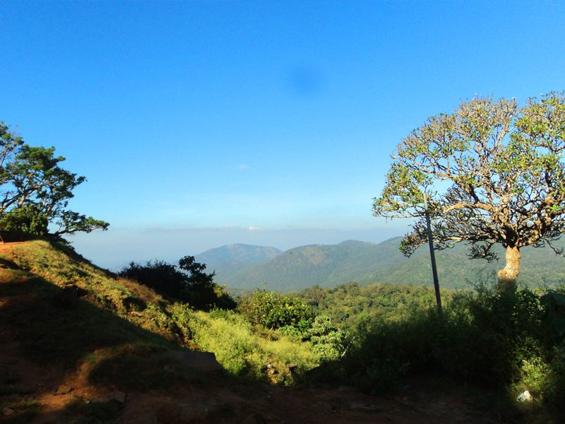 Soliga image 10