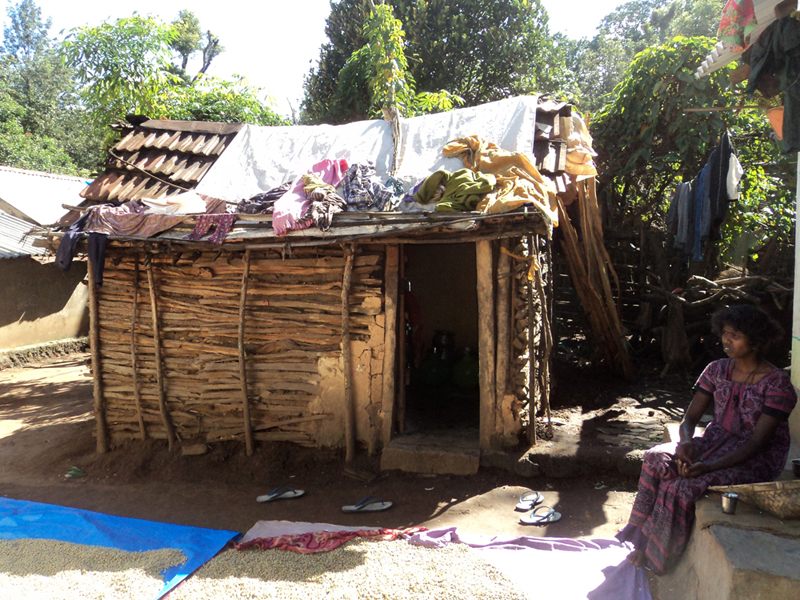 Soliga image 11