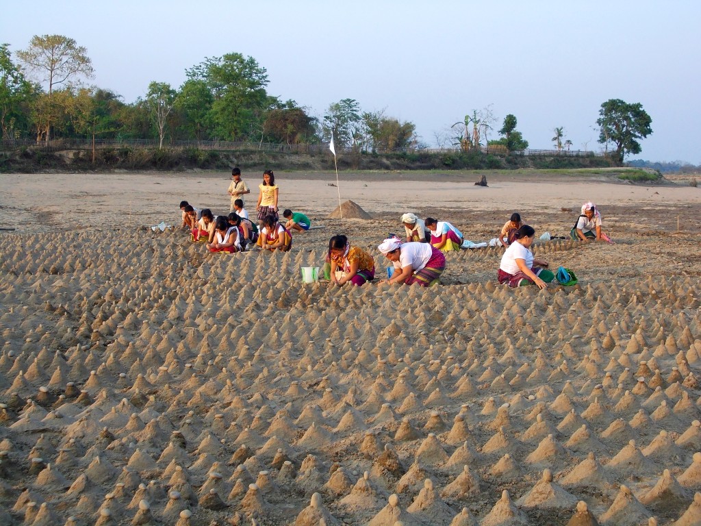 Tai Phake image 5