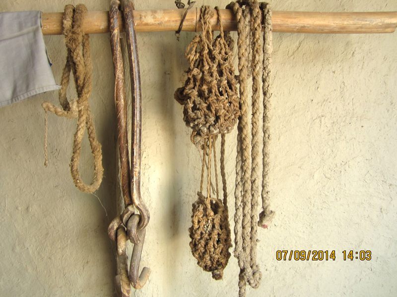 Tharua image 5