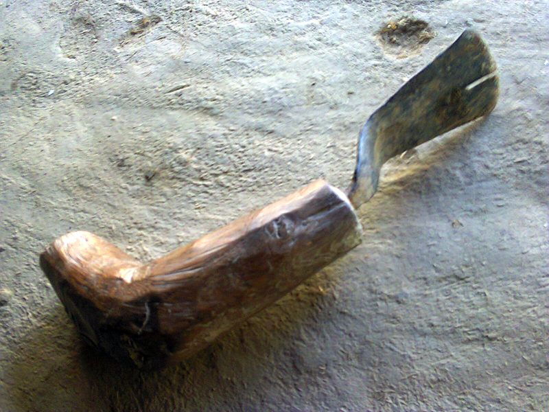 Tharua image 8
